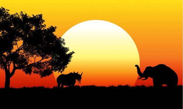 African Sunrise